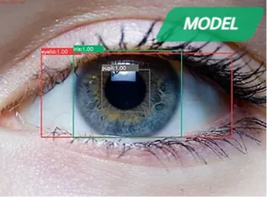 Pupil, Iris, Sclera Detector demo output