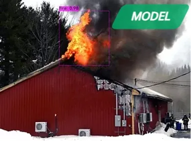 Fire Detector demo output